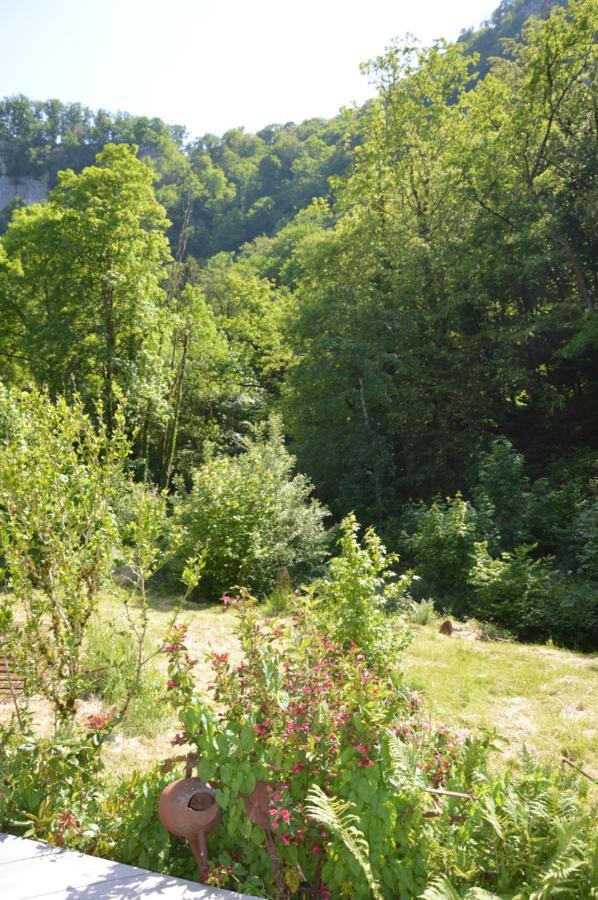 Moulin De La Cuse - L'Ilote Bed & Breakfast Cusance Luaran gambar