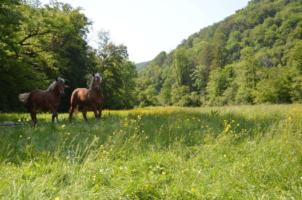 Moulin De La Cuse - L'Ilote Bed & Breakfast Cusance Luaran gambar